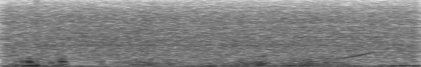 [Loading Spectrogram]