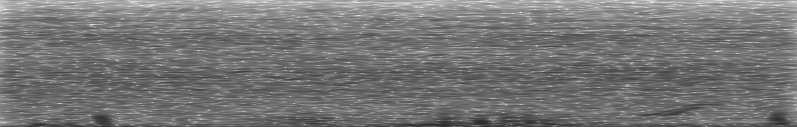 [Loading Spectrogram]