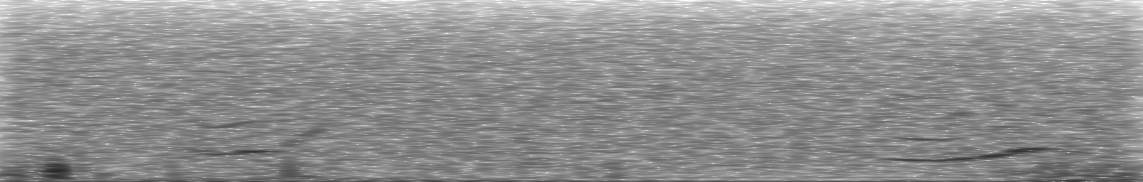 [Loading Spectrogram]