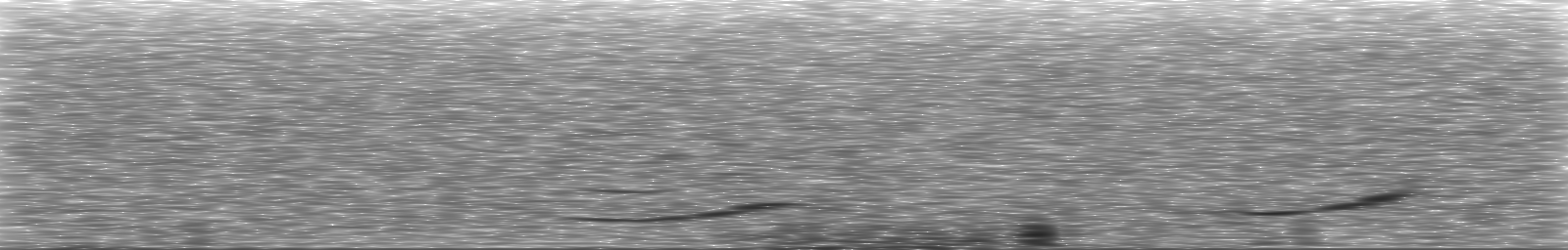 [Loading Spectrogram]