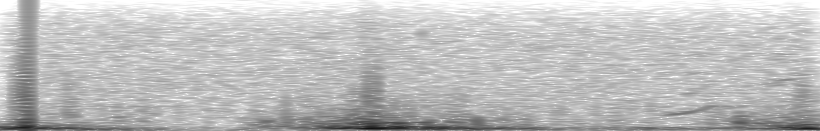 [Loading Spectrogram]