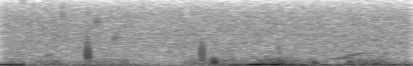 [Loading Spectrogram]