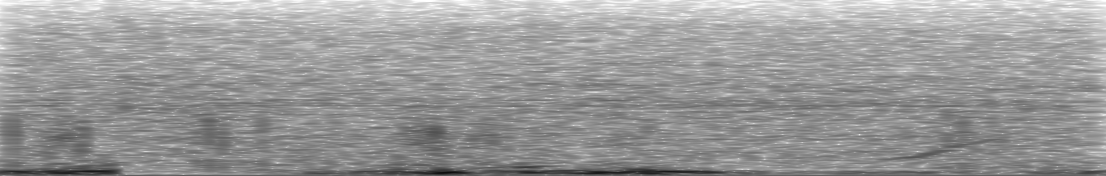 [Loading Spectrogram]