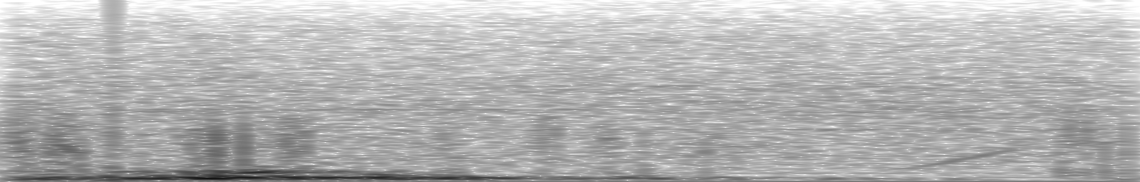 [Loading Spectrogram]