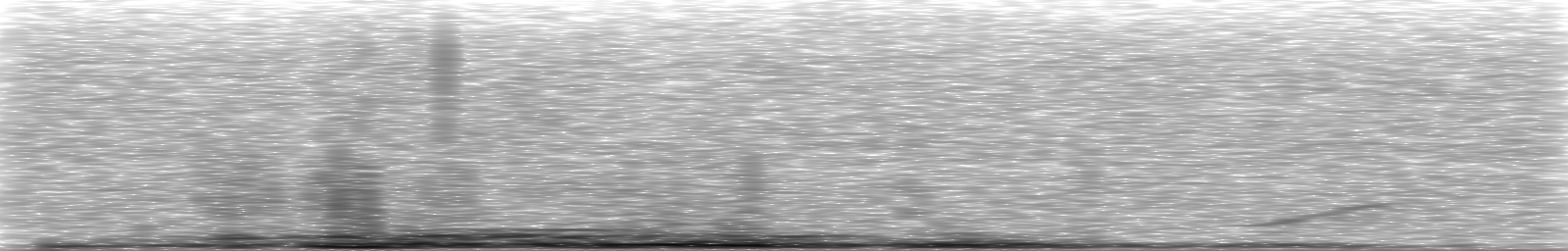 [Loading Spectrogram]