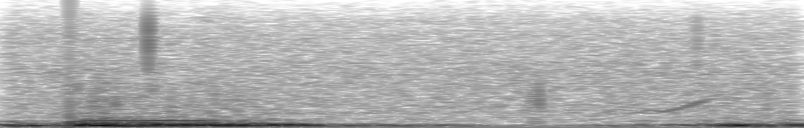 [Loading Spectrogram]