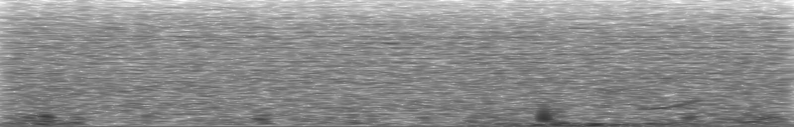 [Loading Spectrogram]