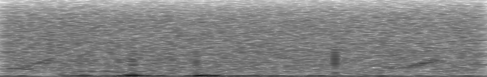 [Loading Spectrogram]