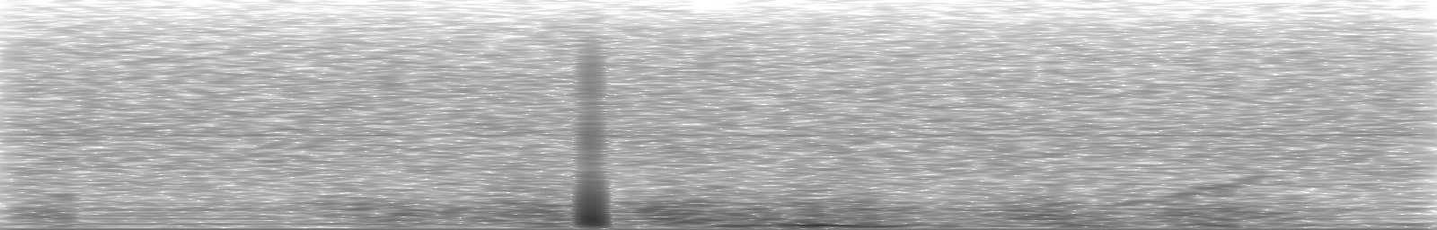 [Loading Spectrogram]