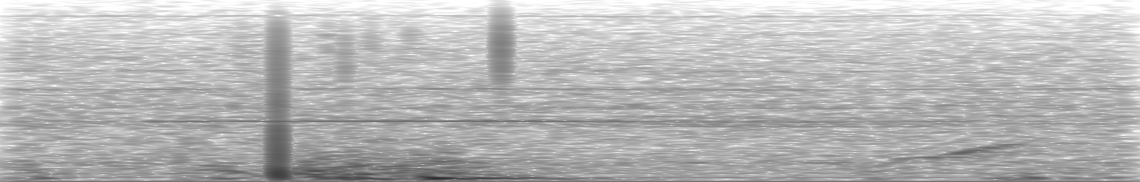 [Loading Spectrogram]