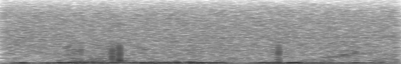 [Loading Spectrogram]