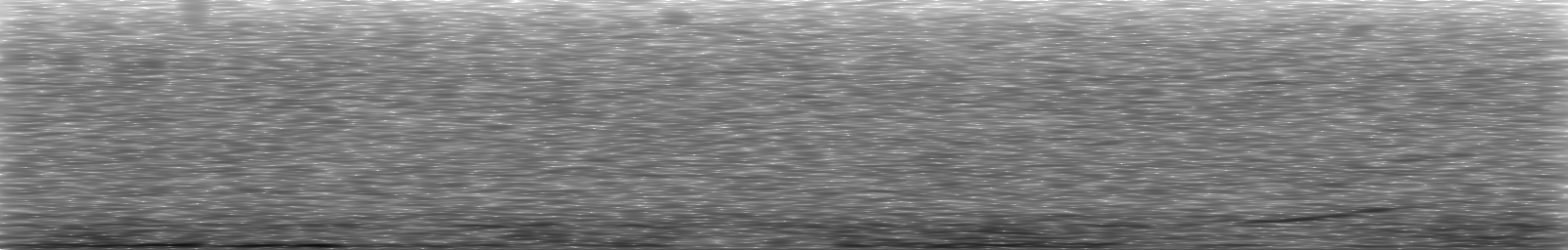 [Loading Spectrogram]