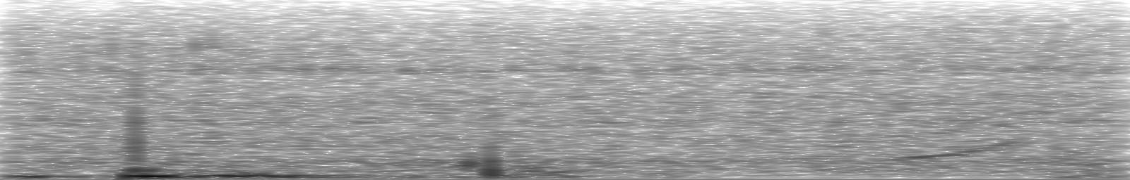 [Loading Spectrogram]