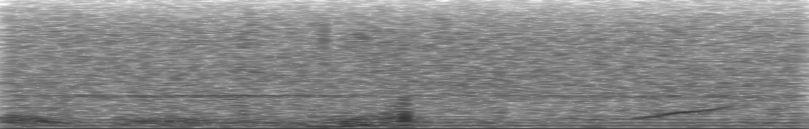 [Loading Spectrogram]