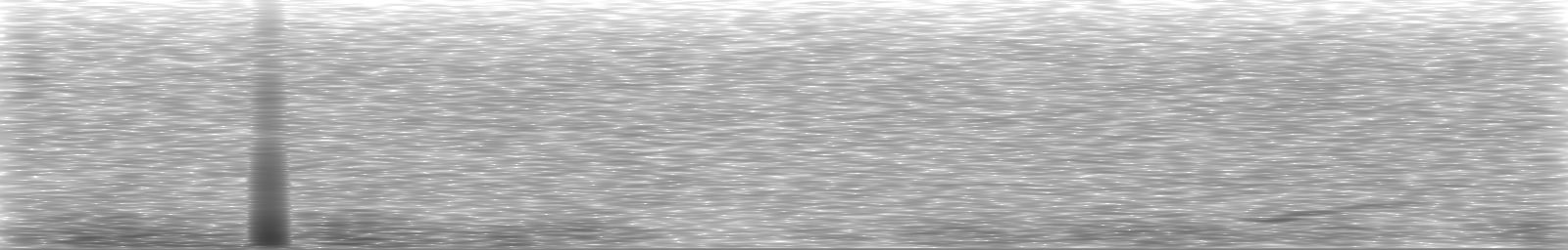 [Loading Spectrogram]