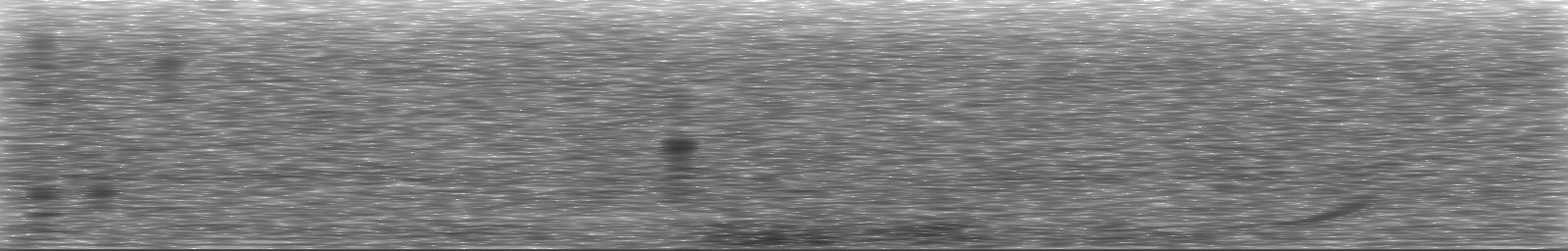 [Loading Spectrogram]