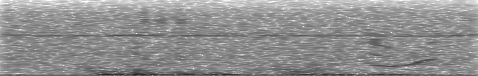 [Loading Spectrogram]