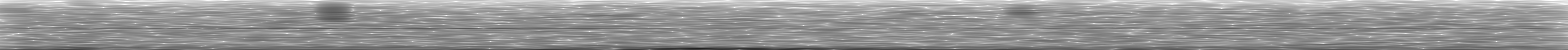 [Loading Spectrogram]