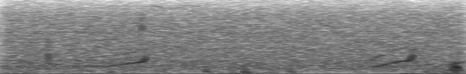 [Loading Spectrogram]