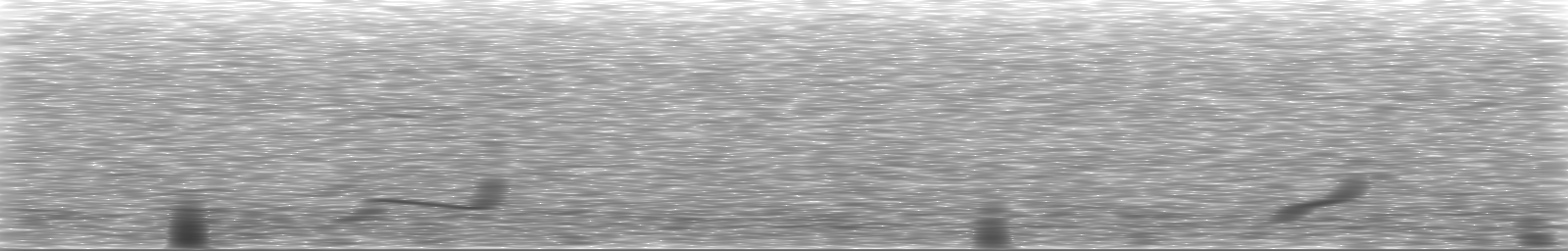 [Loading Spectrogram]