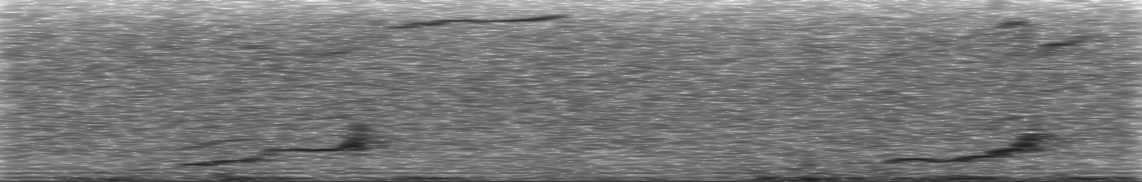 [Loading Spectrogram]