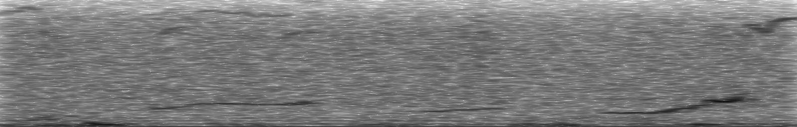 [Loading Spectrogram]