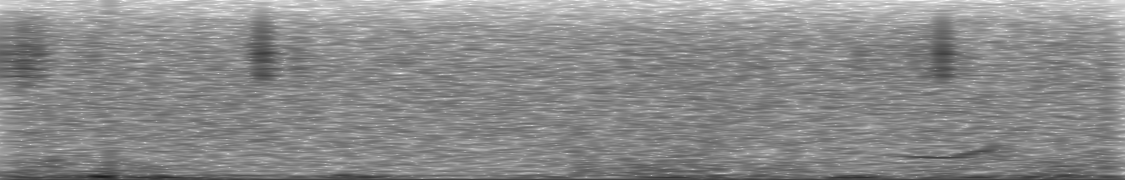 [Loading Spectrogram]