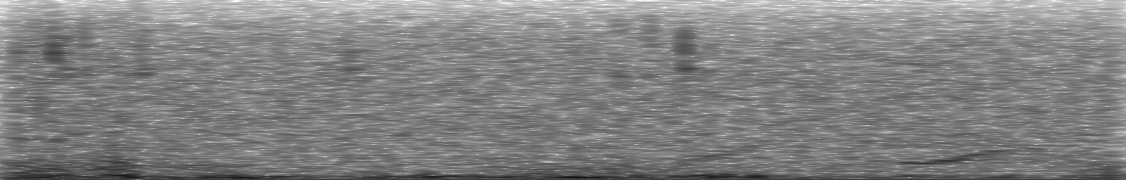 [Loading Spectrogram]