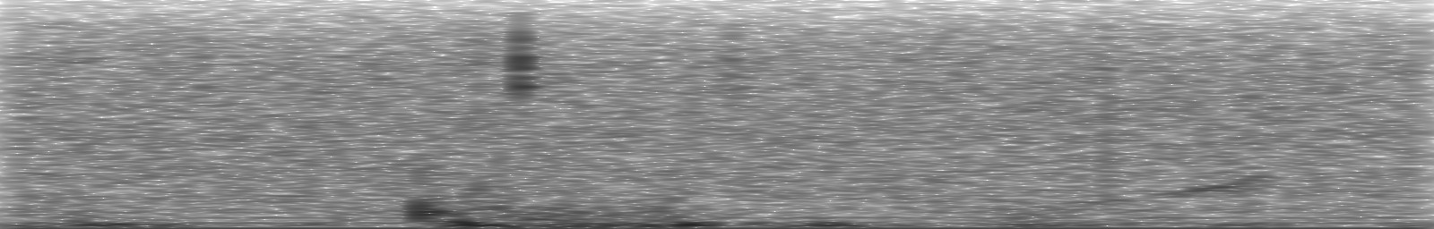 [Loading Spectrogram]