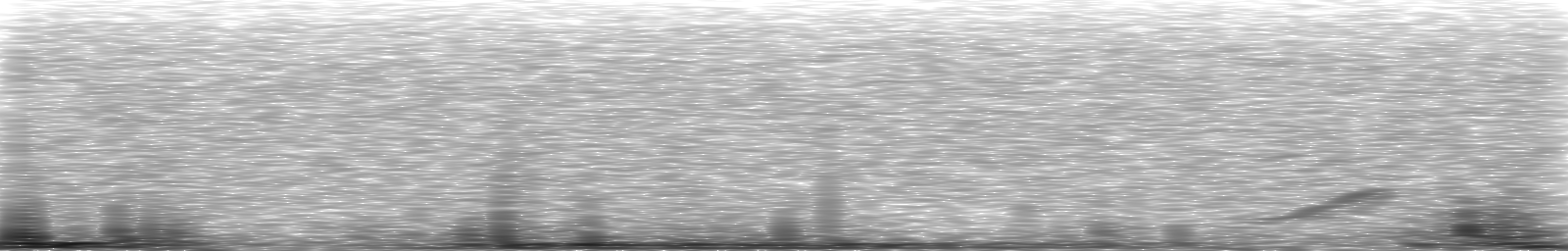 [Loading Spectrogram]