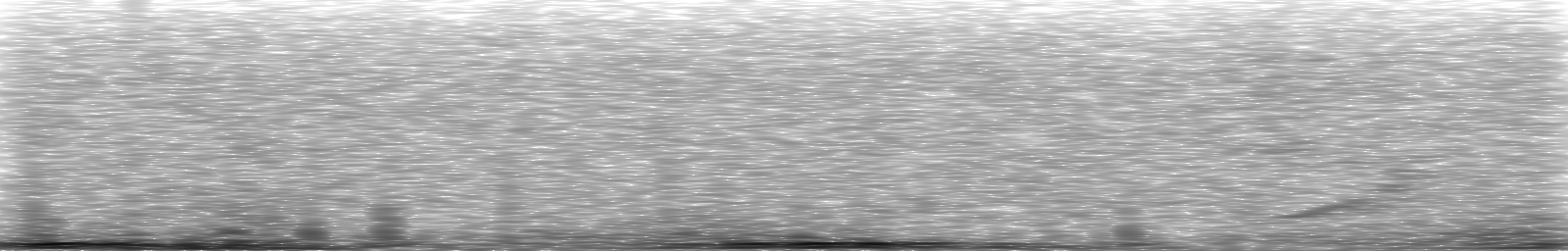 [Loading Spectrogram]