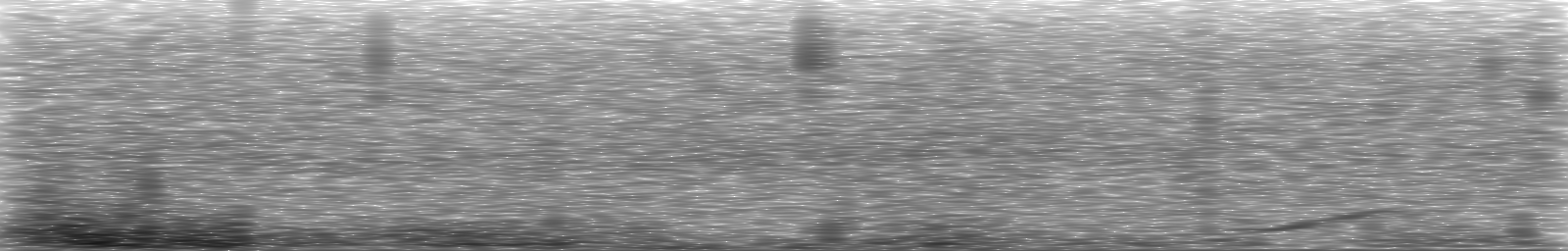 [Loading Spectrogram]