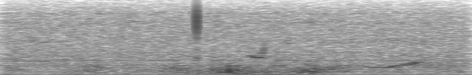 [Loading Spectrogram]