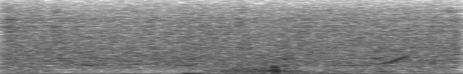 [Loading Spectrogram]