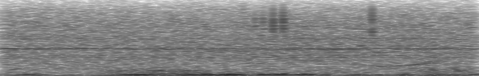 [Loading Spectrogram]