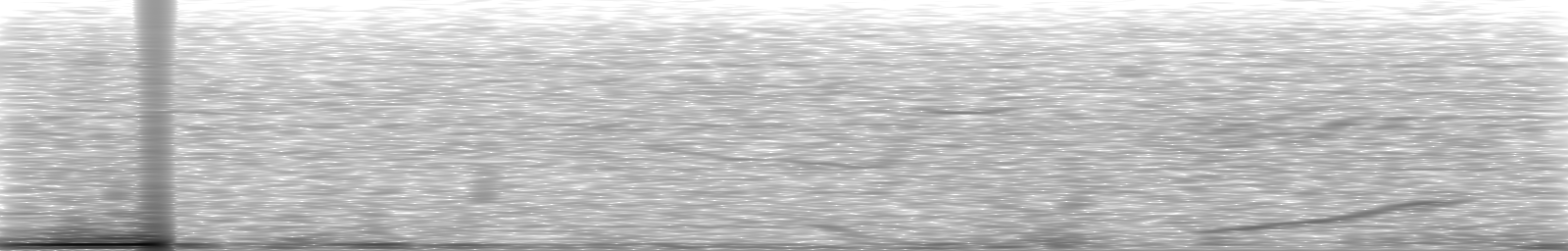 [Loading Spectrogram]