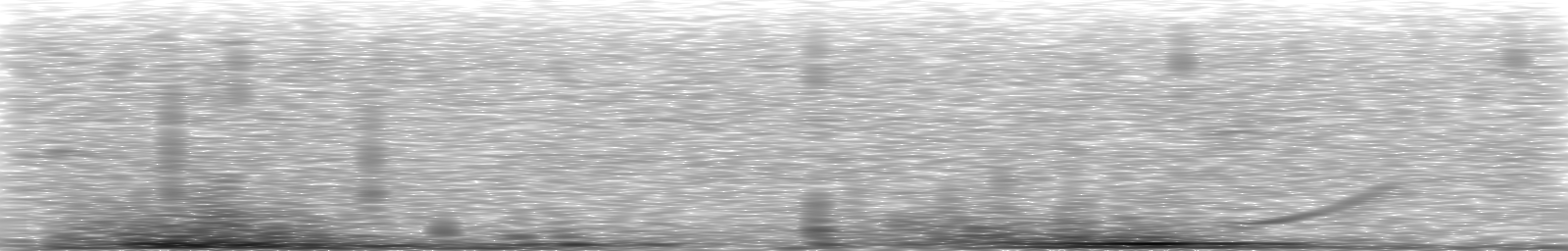 [Loading Spectrogram]