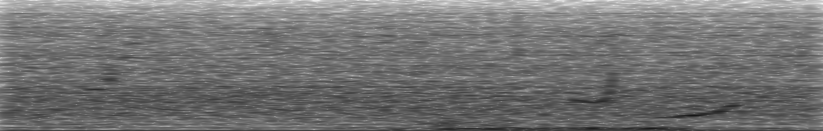 [Loading Spectrogram]