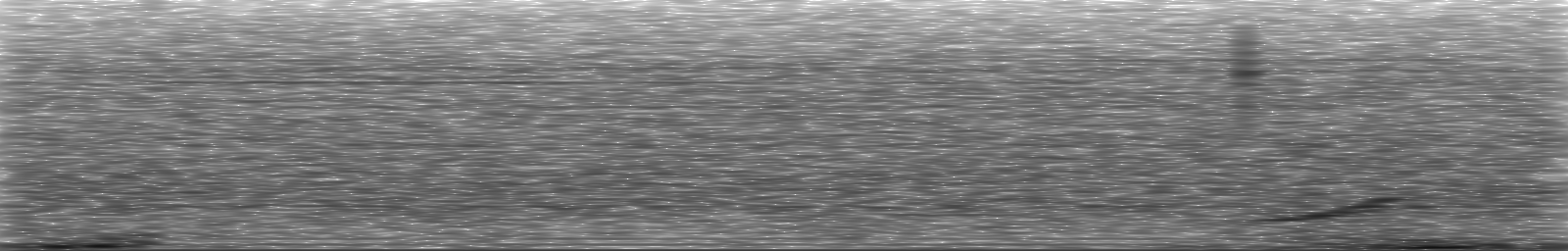 [Loading Spectrogram]