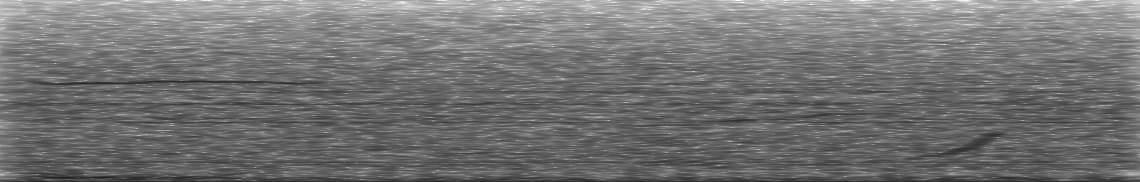 [Loading Spectrogram]