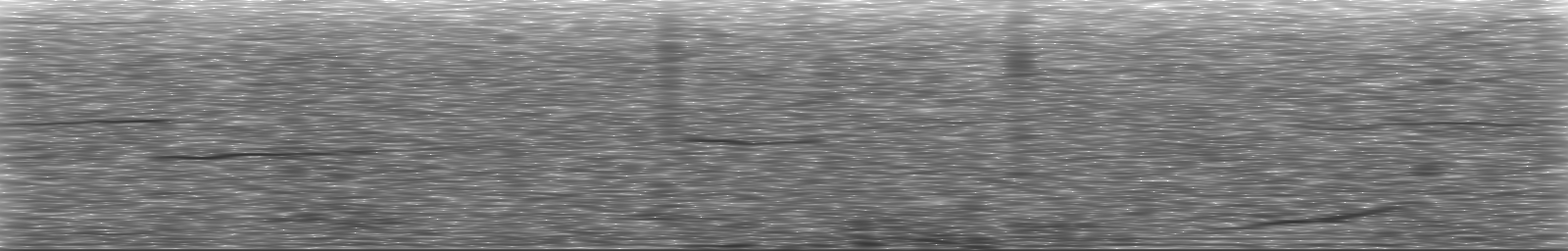 [Loading Spectrogram]