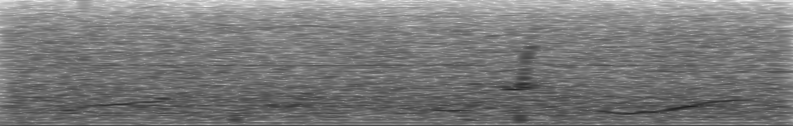 [Loading Spectrogram]