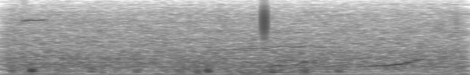 [Loading Spectrogram]