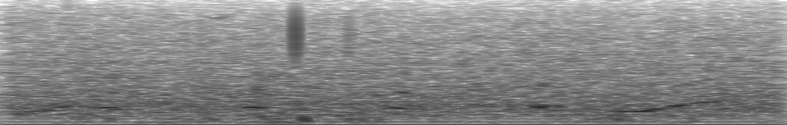 [Loading Spectrogram]