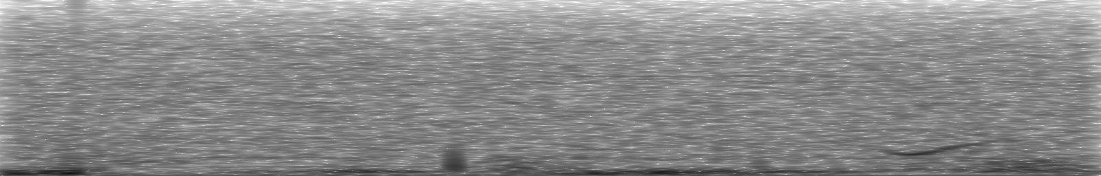 [Loading Spectrogram]