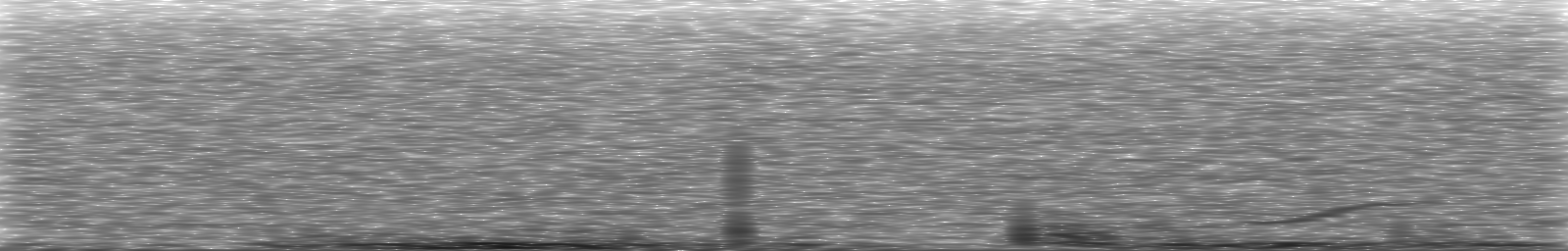 [Loading Spectrogram]