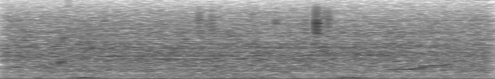 [Loading Spectrogram]