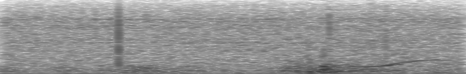 [Loading Spectrogram]