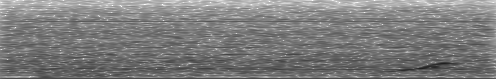 [Loading Spectrogram]