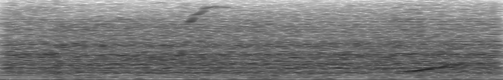 [Loading Spectrogram]